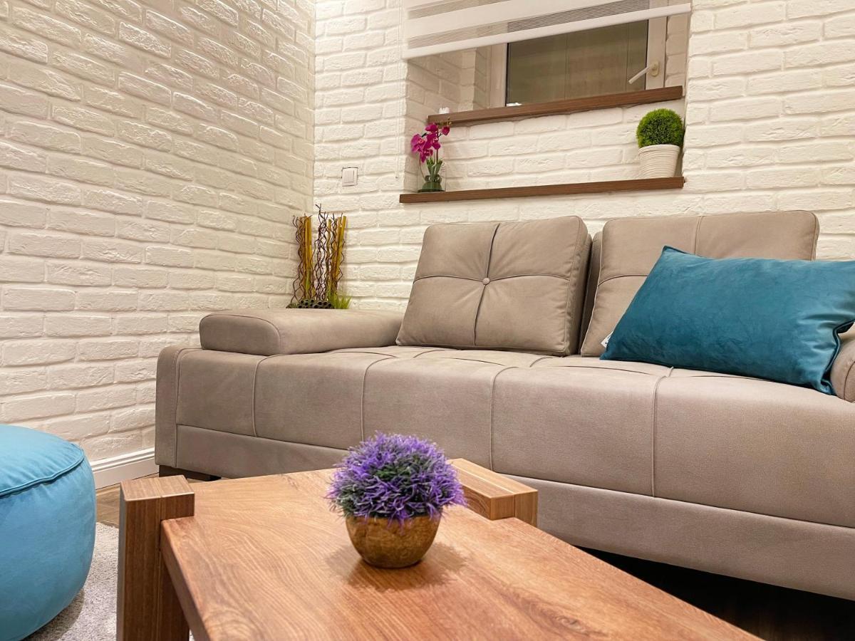 בלגרד Colorway Apartment מראה חיצוני תמונה